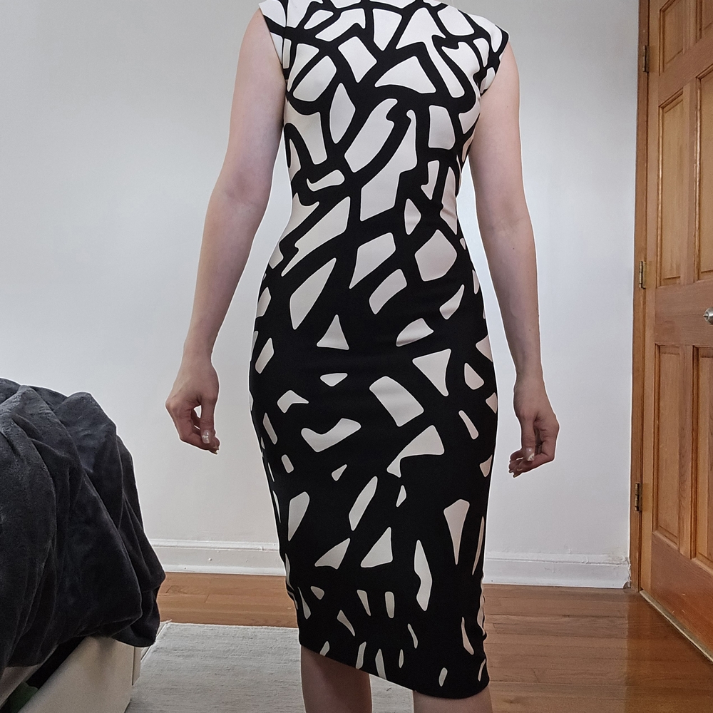 Elegant Black and White Patterned Dress